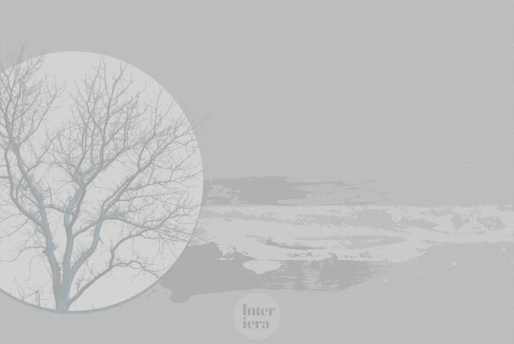 circle tree - projekt autorski Interiera