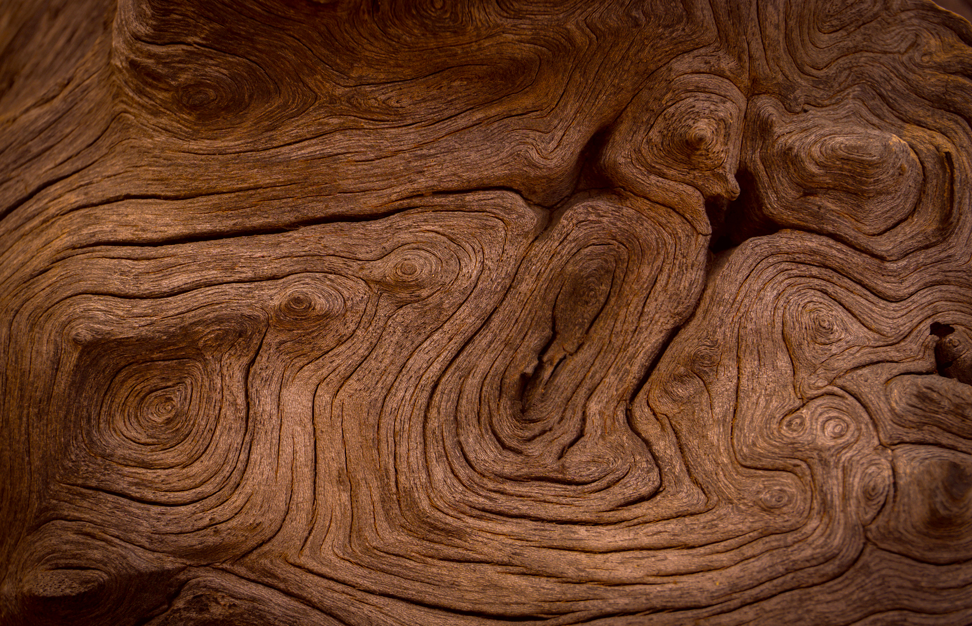 old wood texture background