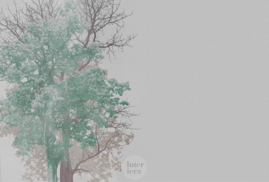 three tree original - projekt autorski Interiera