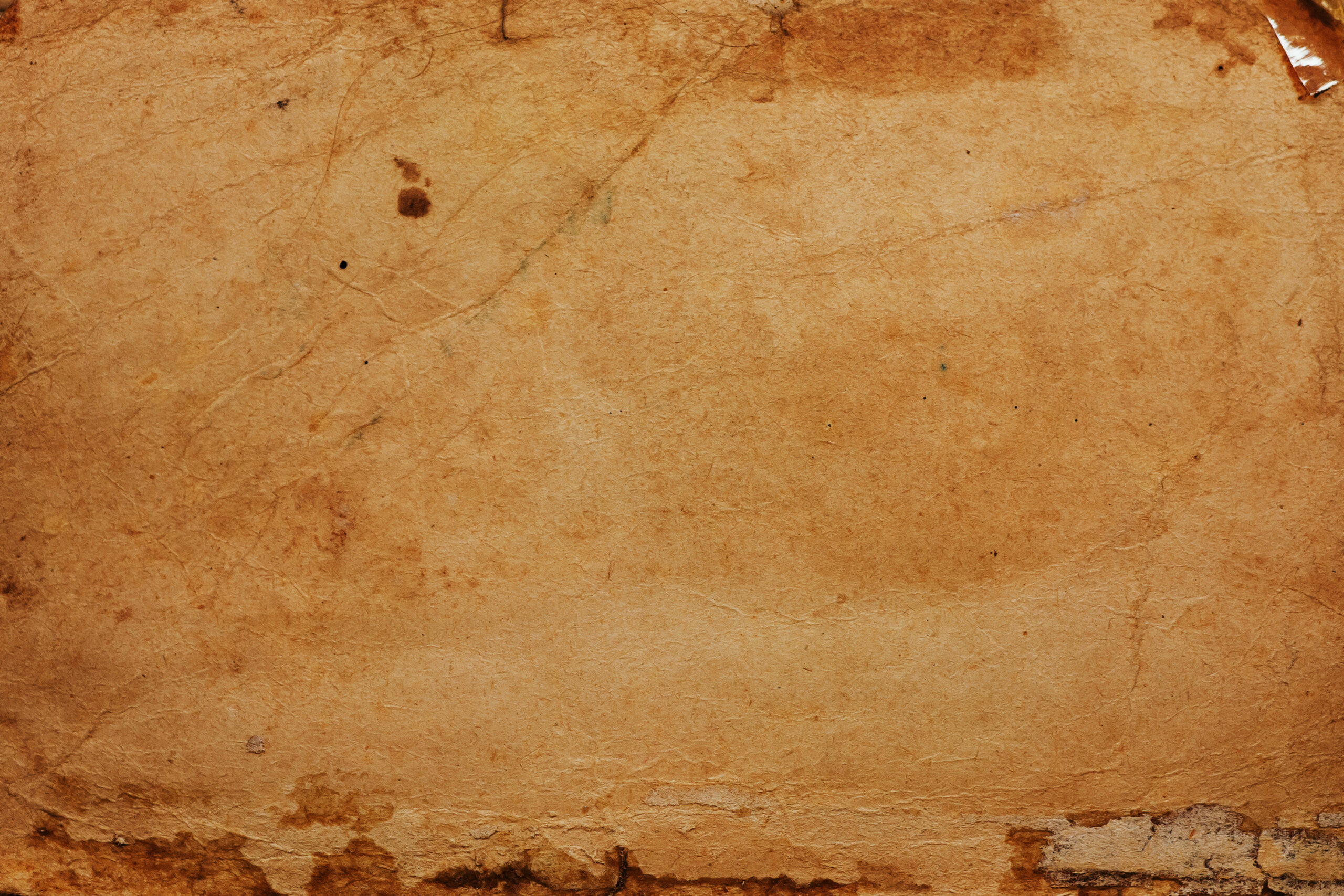 wildtextures old paper texture 3